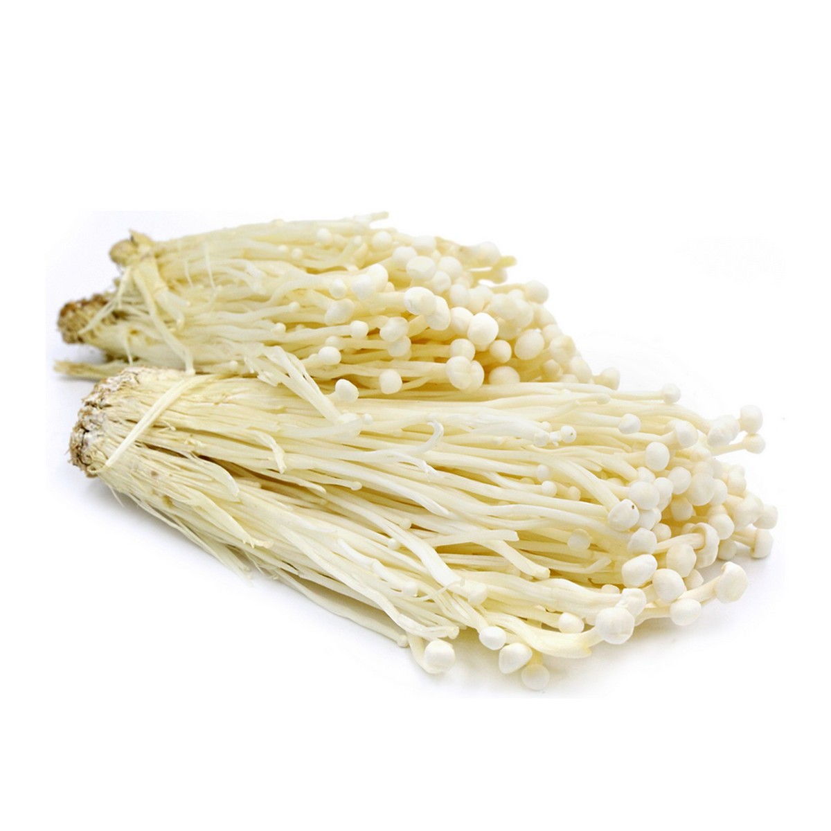 Enoki Mushroom MMM EXIM