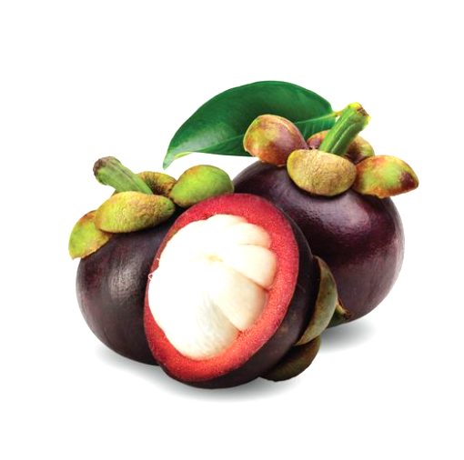 Screenshot 2025 10 27 043252