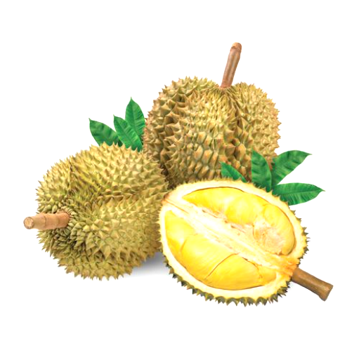 Screenshot 2025 10 27 043645