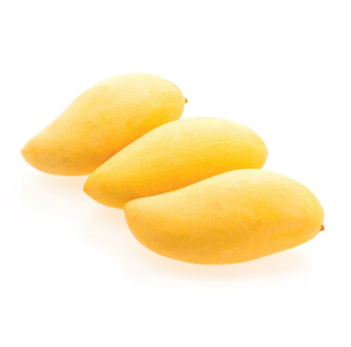 Screenshot 2025 10 27 043803