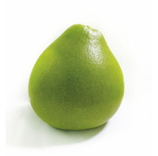 Screenshot 2025 10 27 043845