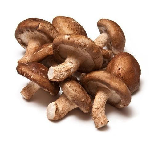 fresh shiitake mushroom 