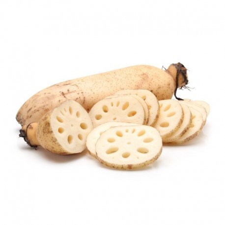 lotus root