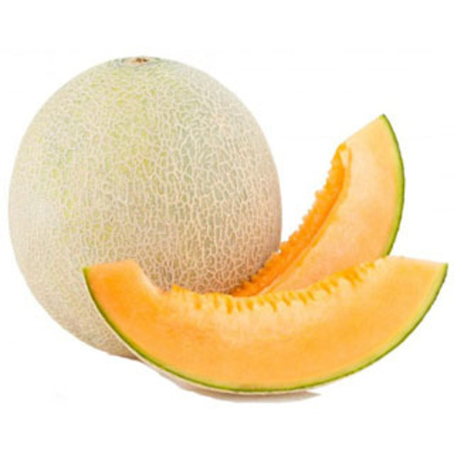 musk melon